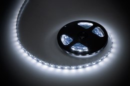 Sznur diodowy 5m Rebel (300x5050) zimny biały, 12V Rebel