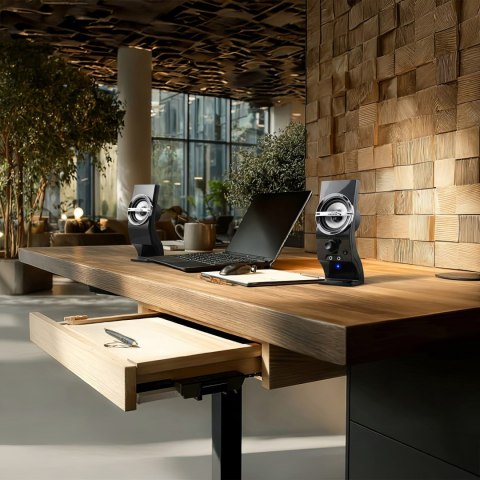 Głośniki komputerowe 6W Audiocore AC805 USB Black