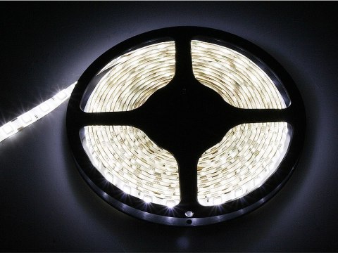 Taśma led biały zimny 5050 5m/300wodoodporna Blow