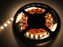 70-992# Taśma led biały ciepły 5050 5m/300 Blow