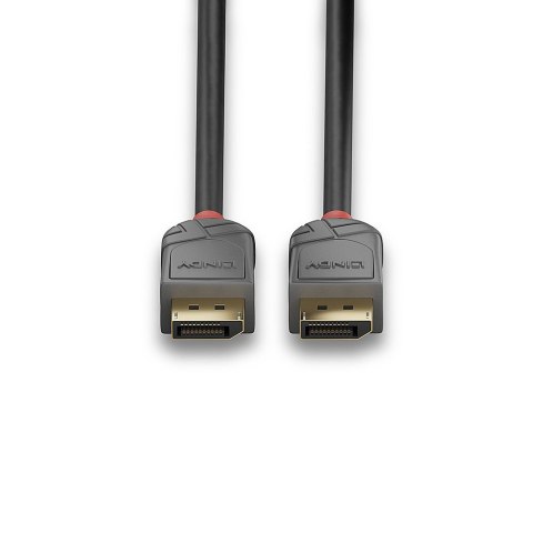 Lindy 36486 kabel DisplayPort 10 m Czarny LINDY