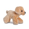 Fancy Pal - Pluszowa maskotka Piesek Labrador PeekaBoo w różowej torbie 20 cm Eco-Friendly Fancy Pal