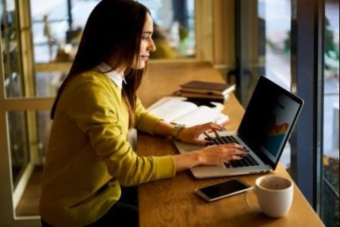 Filtr prywatności do ekranu 3M BP133W1E 3M