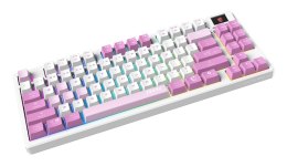 Klawiatura gamingowa VIOLET US/FORGE GK600 TKL W VIOLET MSI MSI
