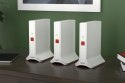 FRITZ! Zestaw siatkowy 4200 3er-Set Triband-Wi-Fi-6 AVM