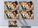 Wyposażenie Rozdzielacz wideo HDMI 4x HDMI (332717) EQUIP