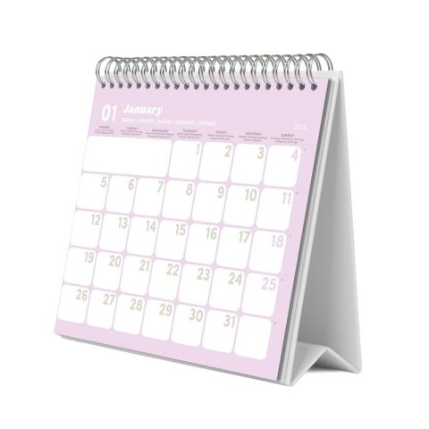 Pusheen - Kalendarz biurkowy 2026 rok 17x20 cm Pusheen