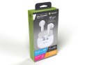 Słuchawki TRACER T12 TWS BT WHITE TRACER