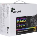 Zasilacz Argus RGB-750W CM II - ATX12V 2.3 AC 100/240 V - 750 Watt - aktiv PFC - sort Inter-Tech