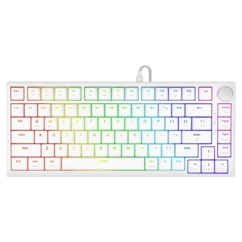 SAVIO KLAWIATURA MECHANICZNA ASTRAL WHITE OUTEMU WHITE JADE RGB SAVIO