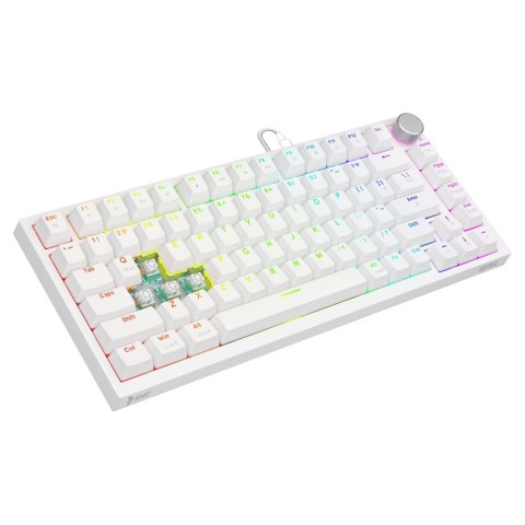 SAVIO KLAWIATURA MECHANICZNA ASTRAL WHITE OUTEMU WHITE JADE RGB SAVIO