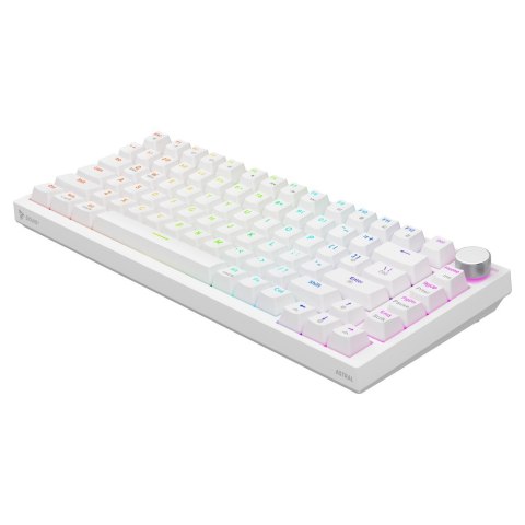 SAVIO KLAWIATURA MECHANICZNA ASTRAL WHITE OUTEMU WHITE JADE RGB SAVIO