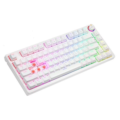 SAVIO KLAWIATURA MECHANICZNA BEZPRZEWODOWA PHENIX WHITE GATERON RED PRO ABS SAVIO