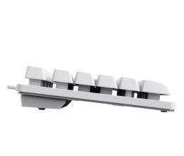 Klawiatura TKL Trust GXT 833W Thado White Trust