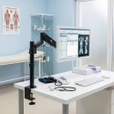 Uchwyt do monitora Maclean, podwójne ramię, ze sprężyną gazową, 17"-32", 8 kg, MC-775