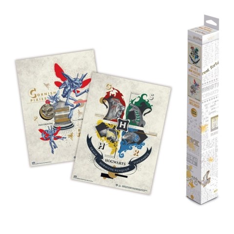 Harry Potter - Zestaw plakatów na ścianę 2 szt. (38 x 52 cm) Harry Potter