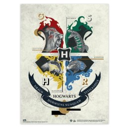 Harry Potter - Zestaw plakatów na ścianę 2 szt. (38 x 52 cm) Harry Potter