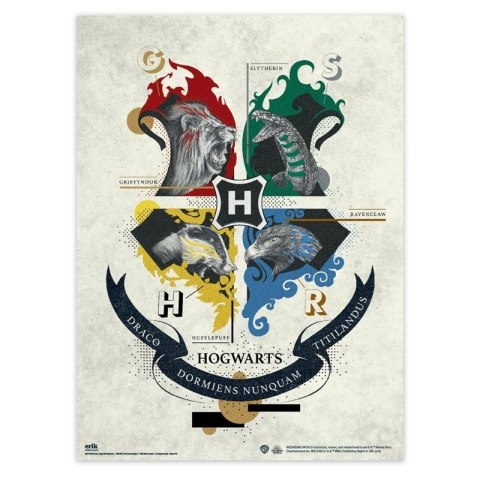 Harry Potter - Zestaw plakatów na ścianę 2 szt. (38 x 52 cm) Harry Potter