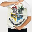 Harry Potter - Zestaw plakatów na ścianę 2 szt. (38 x 52 cm) Harry Potter