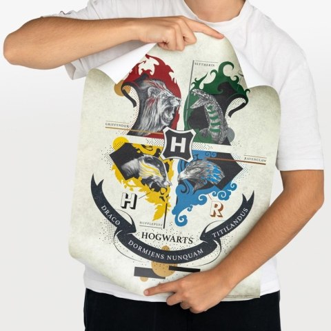 Harry Potter - Zestaw plakatów na ścianę 2 szt. (38 x 52 cm) Harry Potter