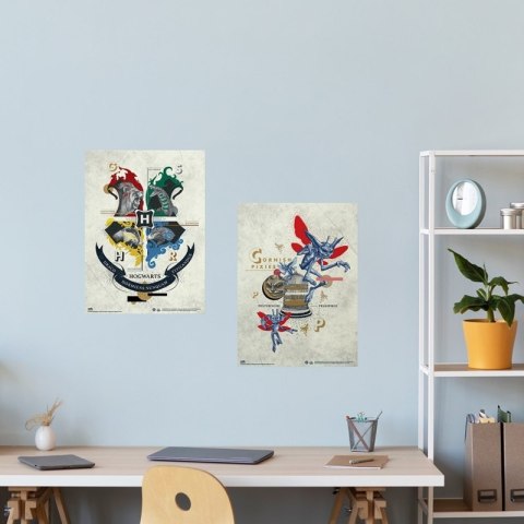 Harry Potter - Zestaw plakatów na ścianę 2 szt. (38 x 52 cm) Harry Potter