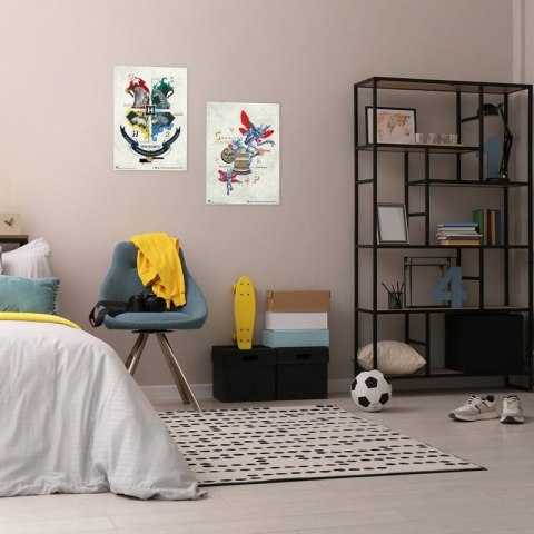 Harry Potter - Zestaw plakatów na ścianę 2 szt. (38 x 52 cm) Harry Potter