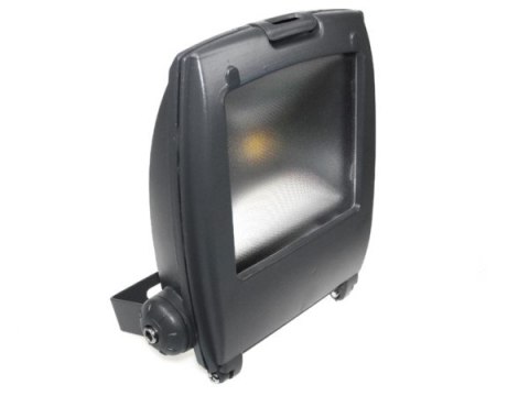 Naświetlacz LED Ralf 10W biały dzienny szary