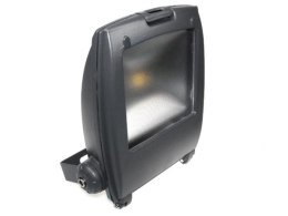 Naświetlacz LED Ralf 10W biały zimny szary