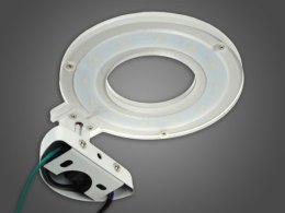 Oprawa ścienna led Holti 6W DW