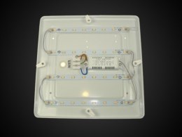 Plafon led Welti 15W CW