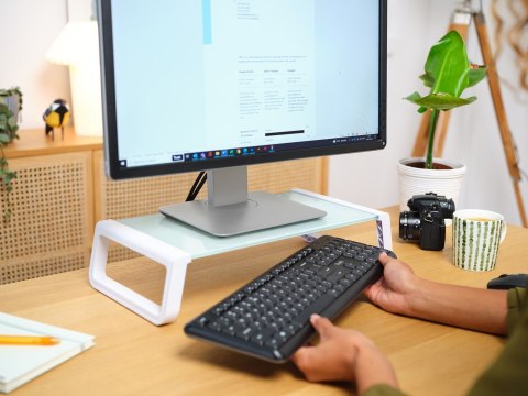 Podstawka pod monitor TRUST MONTA GLASS MONITOR STAND WHT (25351) Trust