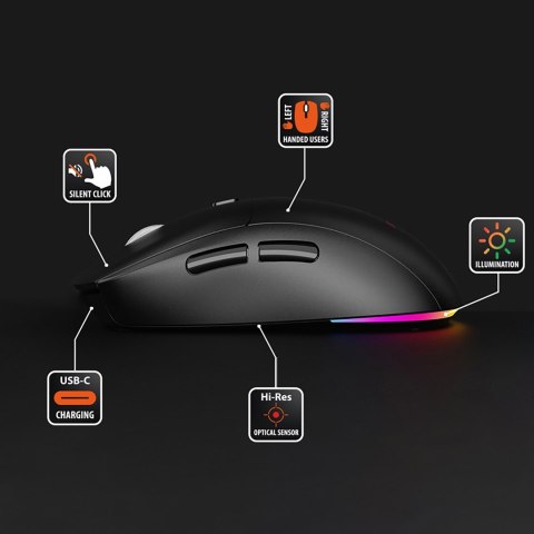 MEDIA-TECH MYSZ DUAL BT/RF SILENT&RECHARGE MT1124 Media tech