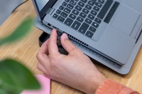 Mysz TRUST Primo Wireless Mouse matt dark blue Trust