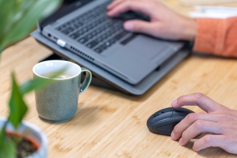 Mysz TRUST Primo Wireless Mouse matt dark blue Trust