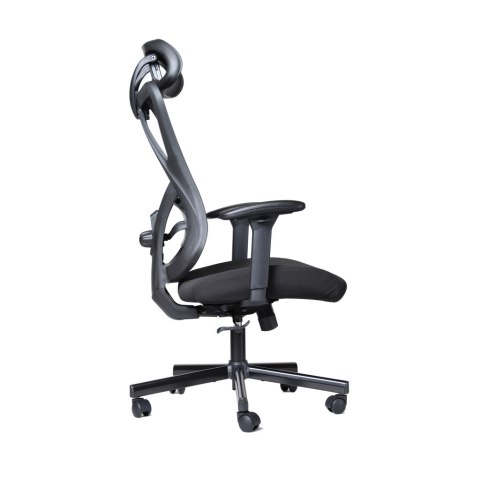 FOTEL ERGONOMICZNY OBROTOWY BIUROWY ART CH-01 Director (05-21) ART