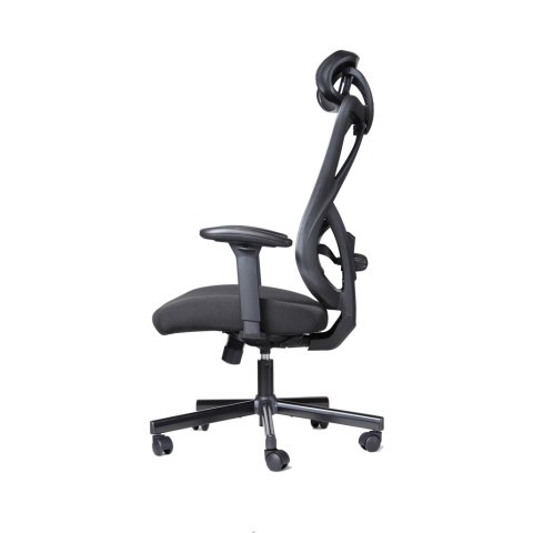 FOTEL ERGONOMICZNY OBROTOWY BIUROWY ART CH-01 Director (05-21) ART