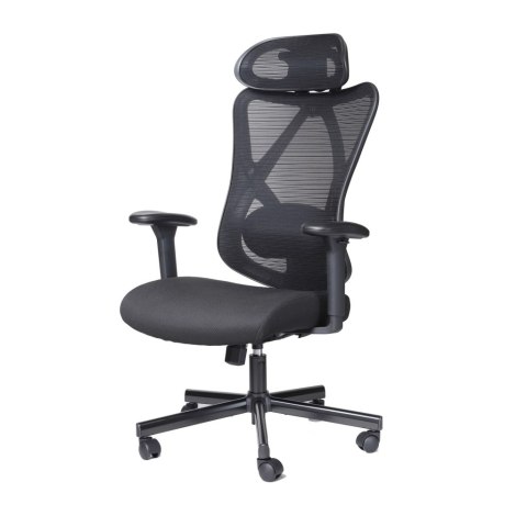 FOTEL ERGONOMICZNY OBROTOWY BIUROWY ART CH-01 Director (05-21) ART