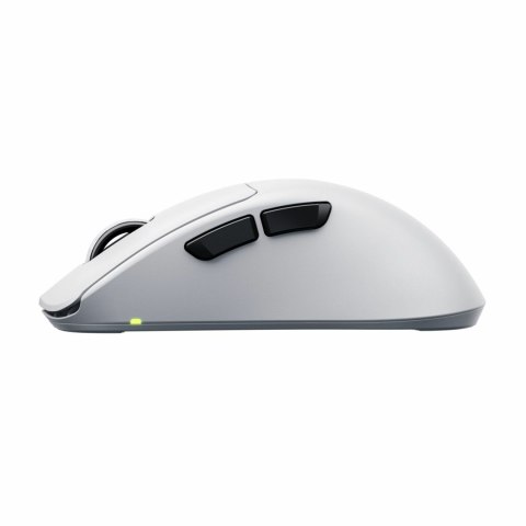 Mysz bezprzewodowa CHERRY XTRFY CX-M64W-PRO-WHITE Cherry