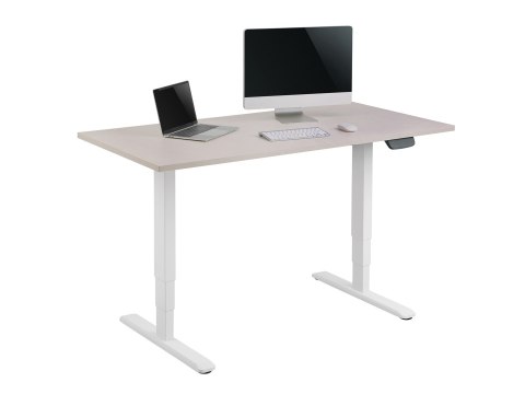 Wyposażenie ramy biurka z podwójnym silnikiem elektrycznym 125 kg ws lite Sprzedaż detaliczna EQUIP