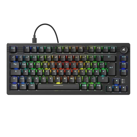 Klawiatura Sharkoon Gaming Tastatur Skiller SGK25 schwarz DE Sharkoon