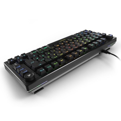 Klawiatura Sharkoon Gaming Tastatur Skiller SGK25 schwarz DE Sharkoon