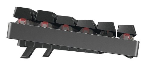 Klawiatura bezprzewodowa CHERRY MX 8.2 TKL WL (bez walizki) Cherry