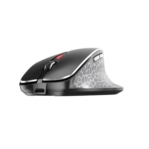 CHERRY MW 8C ERGO myszka Po prawej stronie RF Wireless + Bluetooth Optyczny 3000 DPI Cherry