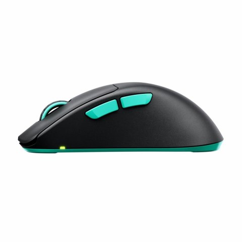 Mysz CHERRY XTRFY M64 bezprzewodowa, mysz bezprzewodowa Cherry