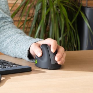 R-Go Pele HE ergonomiczna myszka lewa Bluetooth sidabrina No name