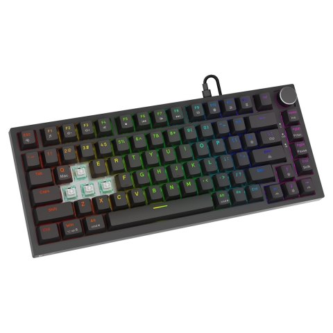 SAVIO KLAWIATURA MAGNETYCZNA ASTRAL BLACK OUTEMU WHITE JADE RGB SAVIO