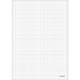 BLOK BIUROWY TYPOGRAF A6/80K KRATKA (5)