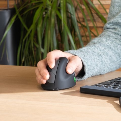 R-Go Tools Ergonomiczna mysz R-Go HE No name