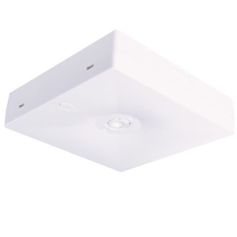 AwarYjna Starlet Quad 350 2,5W A 1h MT SO