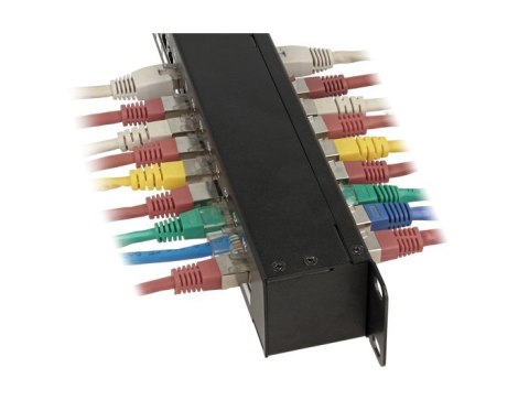 Patch Panel Delock 43295 - Cat6 - Montaż w szafie - 1U - 44 mm - 44 mm DELOCK